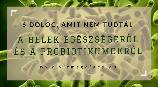 probiotikumok